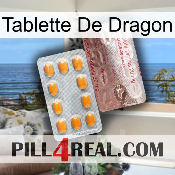 Dragon Tablet new13
